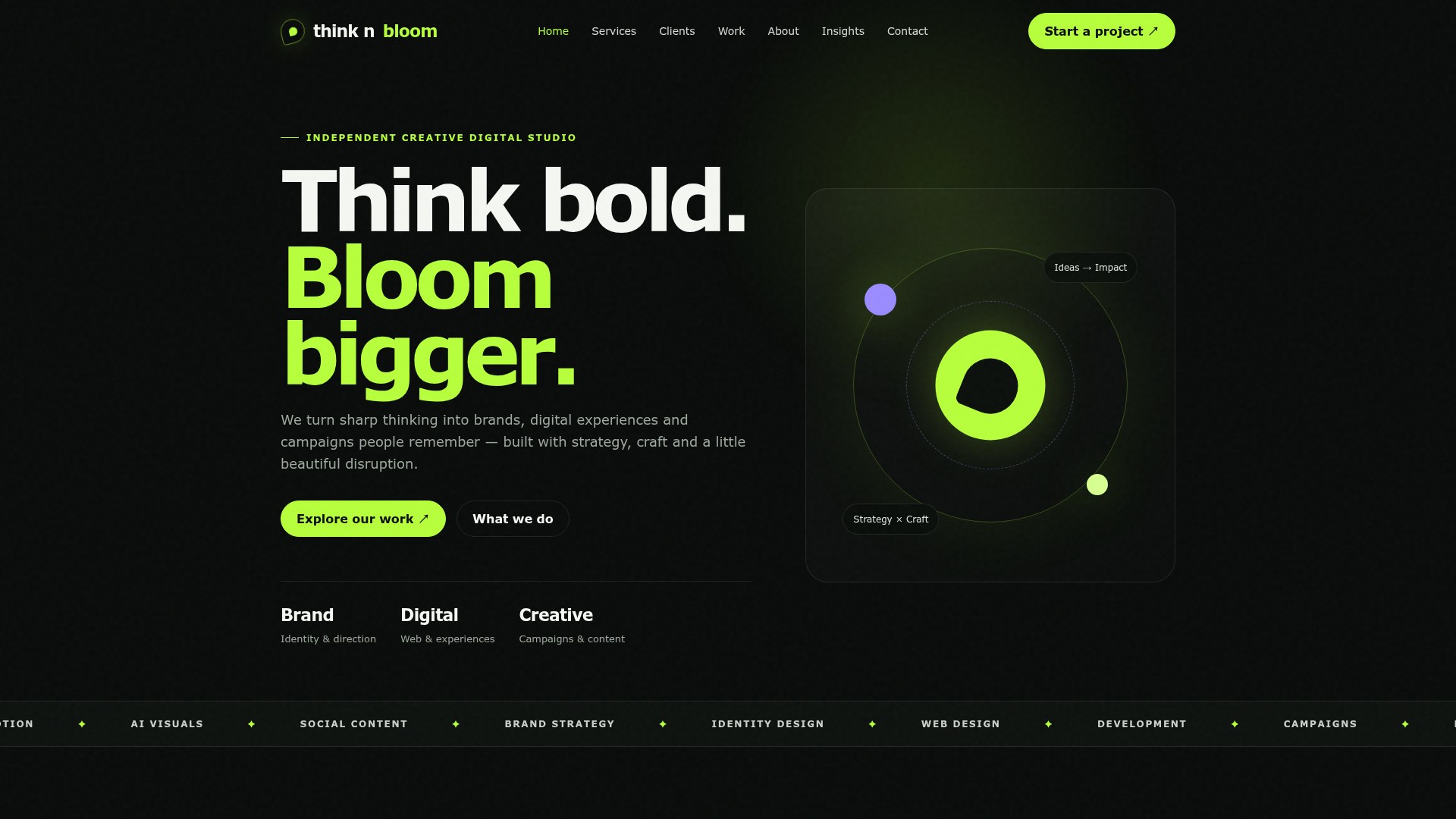 Current Think N Bloom creative digital studio website